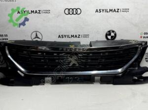 301 Model Peugeot İçin Ön Panjur – Oto Çıkma Parçalar  -NO140