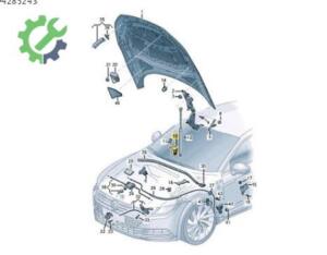 Çıkma Audi A4 Kaput 3G8823402