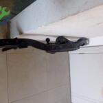 Volkswagen Tiguan 2016-2022 Tampon Demiri Çıkma – 5NA803881F