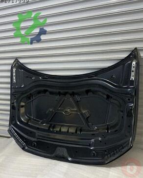 Volkswagen Tiguan Kaput 5NA823031H çıkma parça