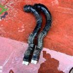 7612091 F10 N20 TURBO HORTUMU ORJİNAL BENZİNLİ İNTERCOOLER