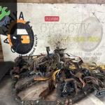 7703197669 RENAULT CLİO 1 Çıkma Torpido Göğüs Tesisatı