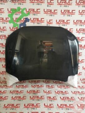 Audi A5 Kaput 8T0823029 çıkma parça