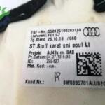 Audi A4 2025 Çıkma Kapı 8W0885701