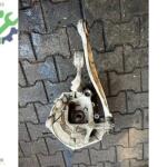 BMW 5 SERİSİ F10 SAĞ ARKA TAŞIYICI