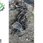 Peugeot 301 Motor Takozu & Kulağı Çıkma Parça Bursa