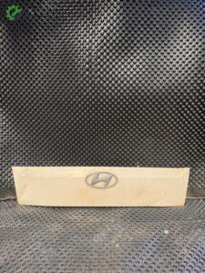 HYUNDAİ H100 MOTOR KAPUT