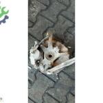 HYUNDAİ GETZ SAĞ ÖN TAŞIYICI