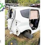 Honda jazz arka sag çamurluk