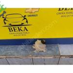 Opel Grandland X Bakalit Çıkma Parça İstanbul