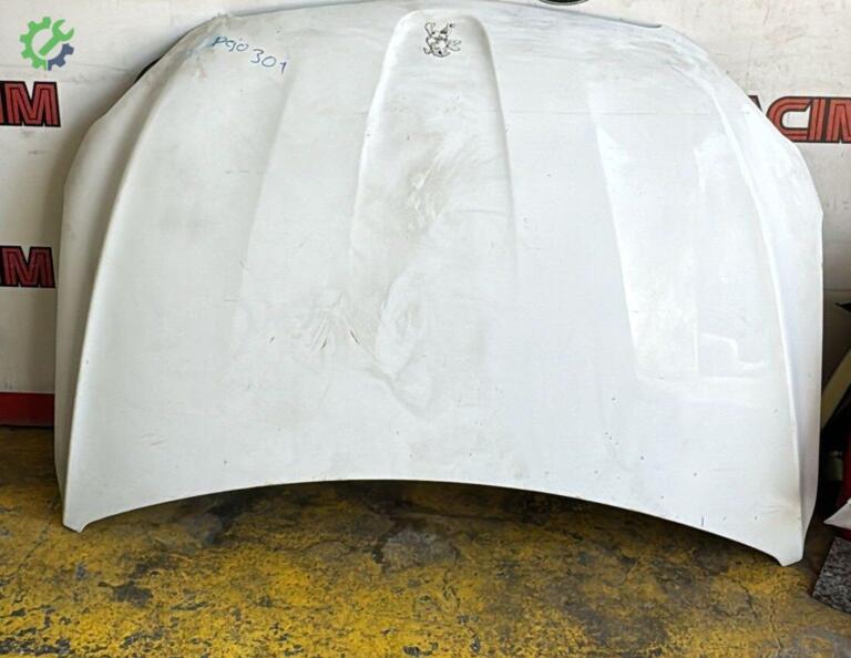 Peugeot 301 Kaput çıkma parça