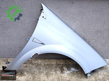 Renault Megane Sağ Ön Çamurluk çıkma parça