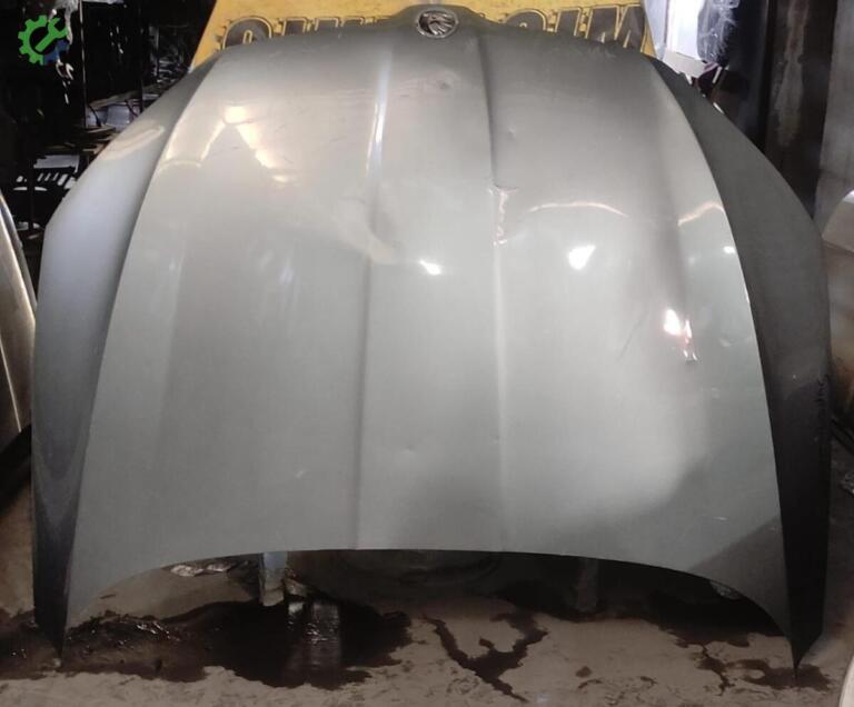 Skoda Superb Kaput çıkma parça