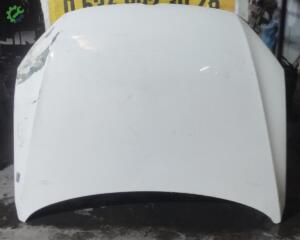VOLKSWAGEN PASSAT B7 KAPUT