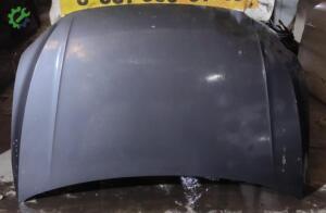 VOLKSWAGEN POLO 2018-2022 KAPUT