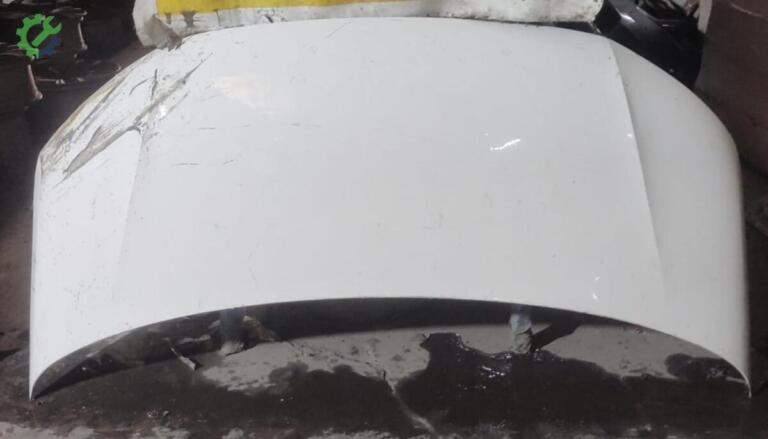 Volkswagen Transporter Kaput çıkma parça