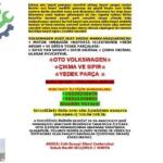 VW POLO FABIA İBİZA TRANSPORTER SİNYAL VE SİLECEK KOLU