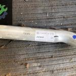 A2468302615 B-Class w246 Klima Borusu Orijinal Çıkma