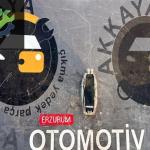 AM51-13K767-GD Grand C-Max Sol iç Aydınlatma Lambası Çıkma