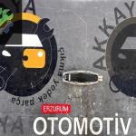 AM51-13K767-HD Ford Grand C-Max Sağ iç Aydınlatma Lambası Çıkma