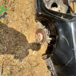 Audi A6 2025 Arka Dingil Çıkma