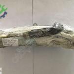 BMW E46 SOL TAVAN AİRBAG ( ORJİNAL )