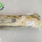BMW E60 LCİ SOL TAVAN AİRBAG ( ORJİNAL )