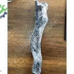 BMW F01 ATEŞLEME KABLOSU ENJEKTÖR VALFİ + TESİSATI