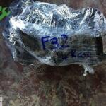 BMW F32 MOTOR ELEKTİRİK TESİSATI ORJİNAL