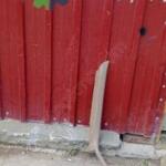 Chevrolet blazer sol ön cam direk kaplaması