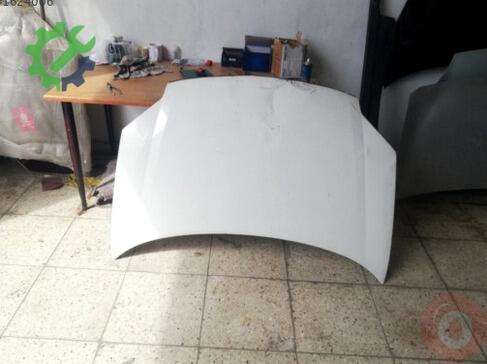 Citroen Berlingo Ön Kaput çıkma parça