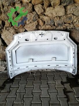 Citroen Berlingo Kaput çıkma parça