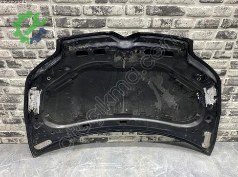 Citroen C4 Kaput çıkma parça