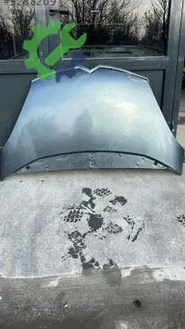 Citroen C4 Kaput çıkma parça
