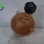 CİTROEN C4 YETEK SU DEPOSU