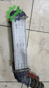 Citroen Nemo Orijinal Çıkma Radyatör