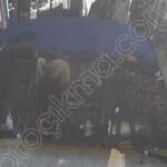 Citroen DS5 2025 Kaput Çıkma