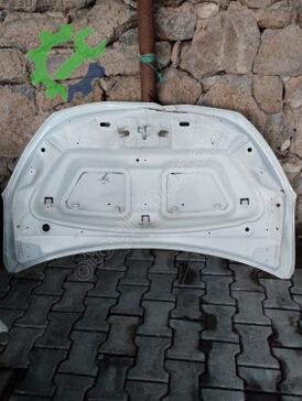Dacia Lodgy Kaput çıkma parça