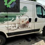 Diat ducato sağ ön kapı hatasız dolu