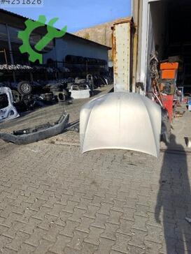 Citroen DS4 Kaput çıkma parça