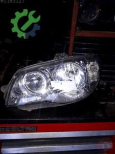 FIAT ALBEA FAR