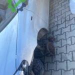 Fiat Albea sol ön çamurluk çıkma