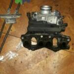 Fiat doblo palyo albea emme manifotu