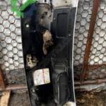 FİAT DUCATO 3 2007 – 2014 KAPUT