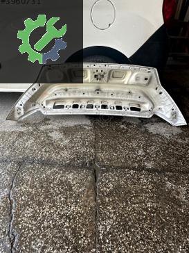 Fiat Ducato Kaput çıkma parça