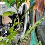 Fiat Fiorino 2025 Sol Arka Çamurluk Çıkma