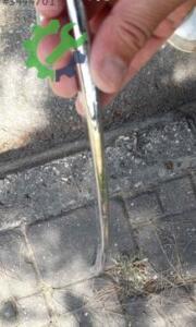 Fiat Linea 2 ön tampon orta ızgara krom çıtası