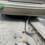 Fiat marea arka tampon çıkma orijinal
