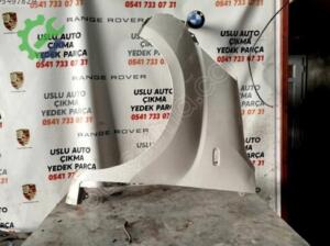 Fiorino sol çamurluk