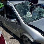 Ford Connect Çıkma Yedek Parçaları